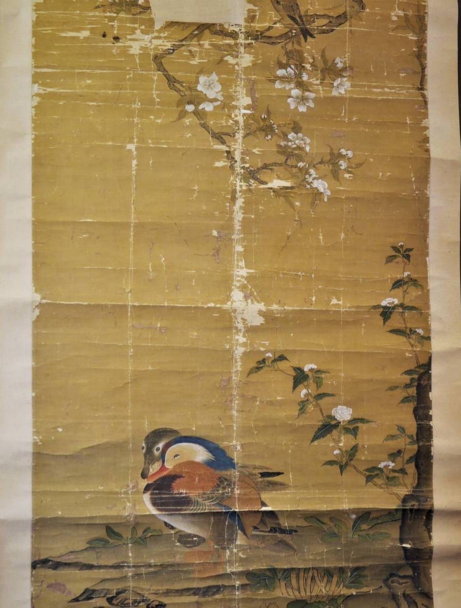 中国美術 清朝初期 花鳥図 掛軸
